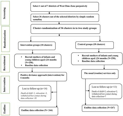 Effectiveness of a positive deviance approach to improve mother’s nutritional knowledge, attitude, self-efficacy, and child’s nutritional status in Maji District, West Omo Zone, South West region, Ethiopia: a cluster randomized control trial